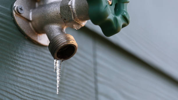 Best Drain Cleaning Services  in Potomac Heights, MD